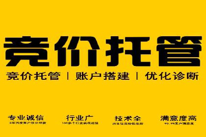 成功案例揭秘：SEM托管代运营的五大优势
